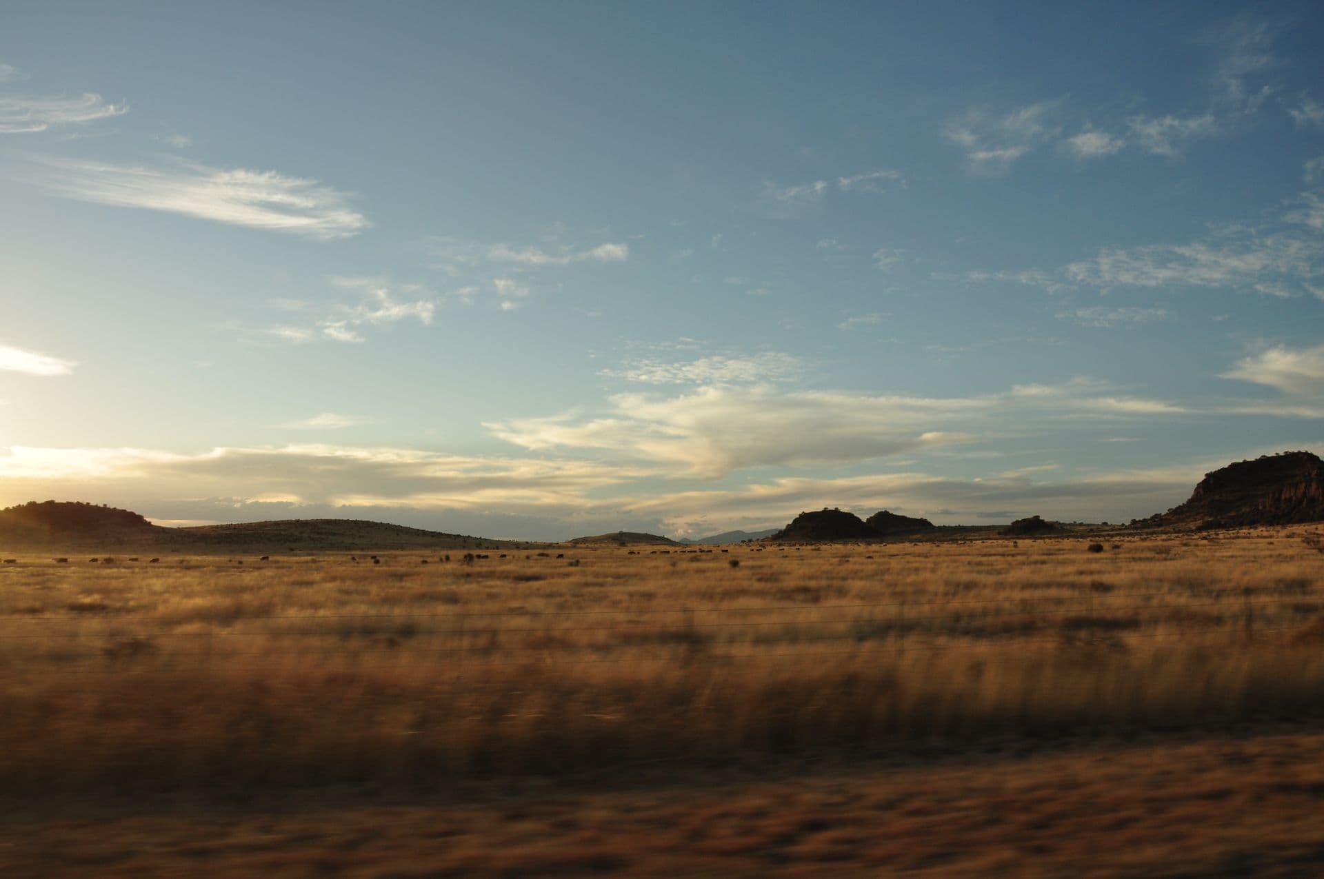 Open West Texas grassland glowing in warm evening light
